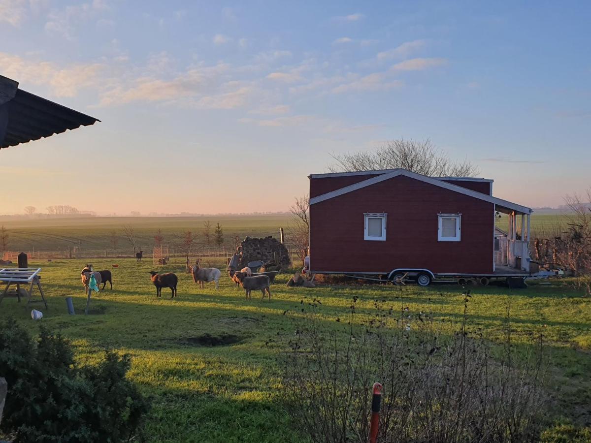 Tiny House Villa Schonbeck  Екстериор снимка